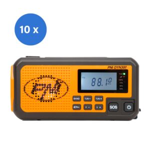 PNI DYN300 kaasaskantav raadio