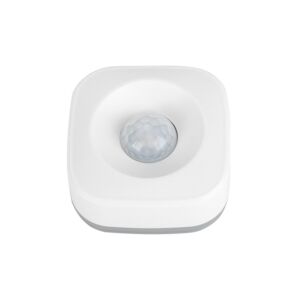 PNI SafeHome PT02 WiFi nutikas liikumisandur