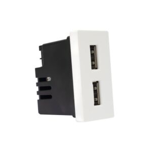 Pistikupesa 2 PNI UB20 USB-pistikuga, manustatav 1/2 klaasist raami