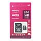 MicroSD mälukaart PNI 256GB