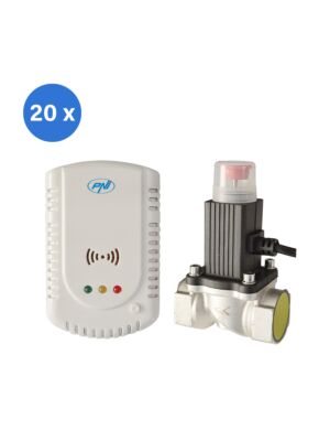 PNI GD-01 gaasianduri komplekt ja PNI V-02 solenoidventiil