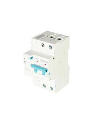 PNI SafeHome PT863 WiFi intelligentne automaatkaitse, reguleeritav 1-63A, interneti juhtimine, Tuya S mobiilirakendus