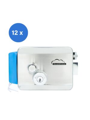 elektromagnetiline yal SilverCloud YE910